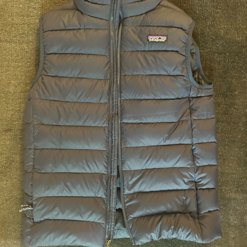 Patagonia Blue Quilted Vest for Outdoor Adventures